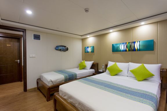 Carpe Novo — NovoNapoleonqueenand_20singlebed_lg.jpg