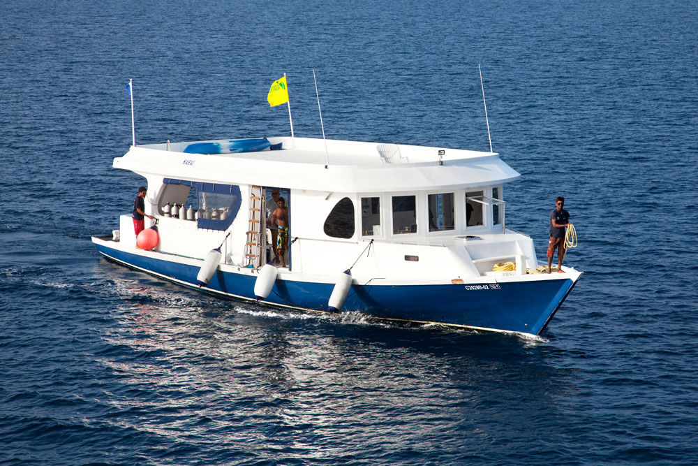 MY Conte Max — conte-max-liveaboard-maldives-dhoni.jpg