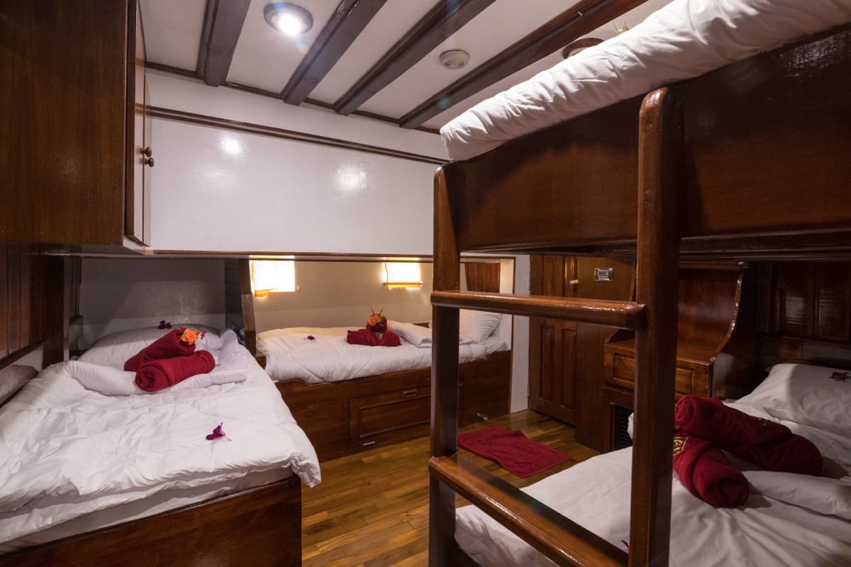 Thailand Master — thailand-master-quad-cabin.jpg