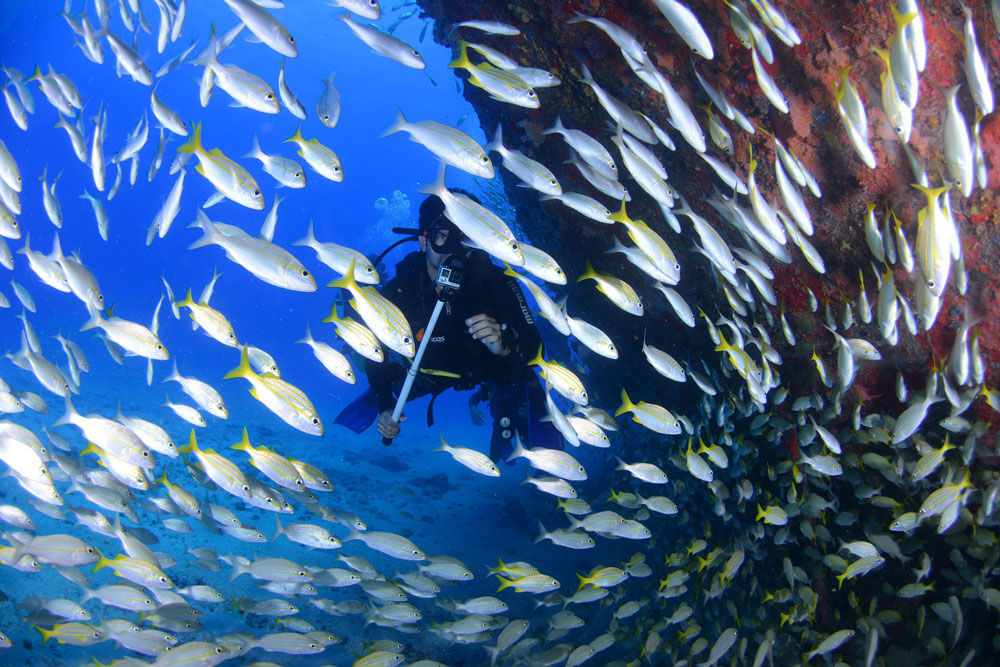 South Moon — diver-with-fuseleer-and-wreck.jpg