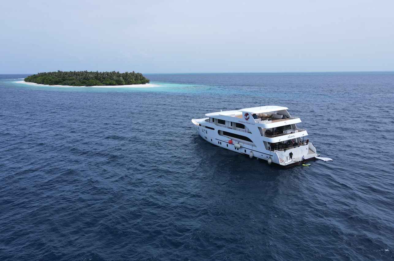 MV Adora — adora-2.jpg