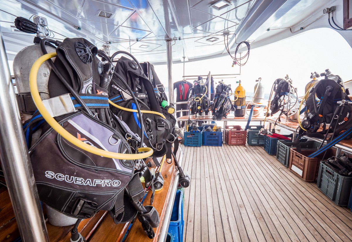 Emperor Asmaa — Asmaa-Dive-Deck_01.jpg