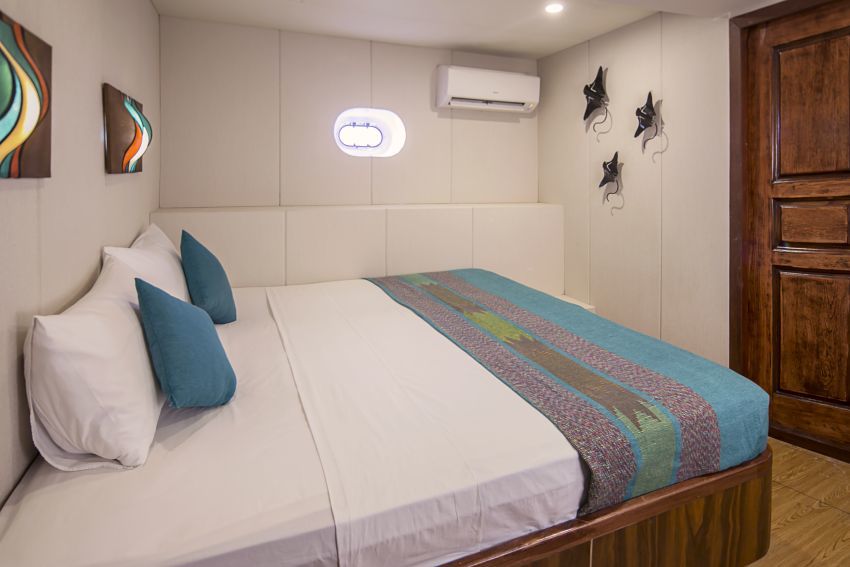 Carpe Diem — CD_Standarad_20cabin_20showing_20ensuite_lg.jpg