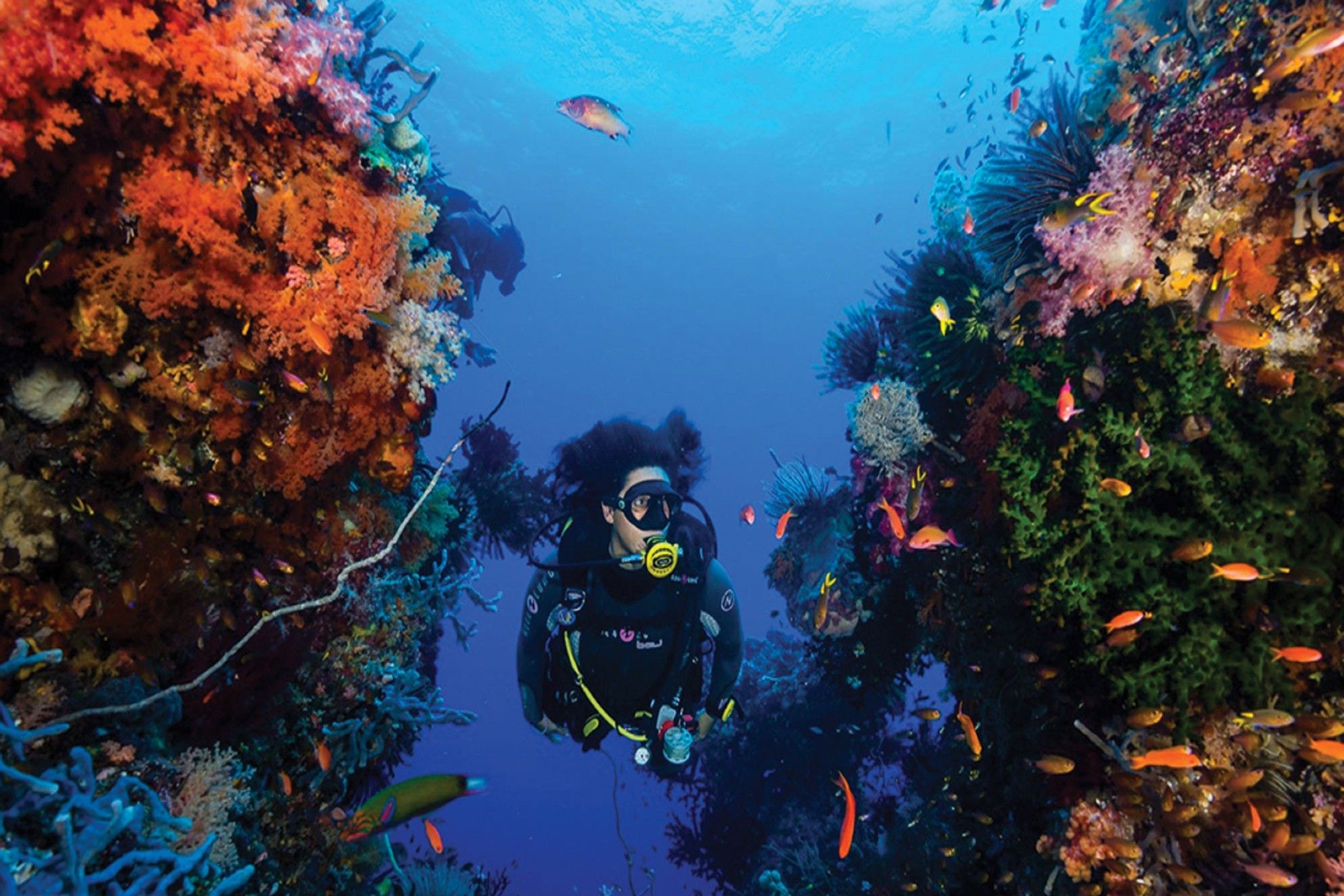 Raja Ampat Aggressor — diving.jpg