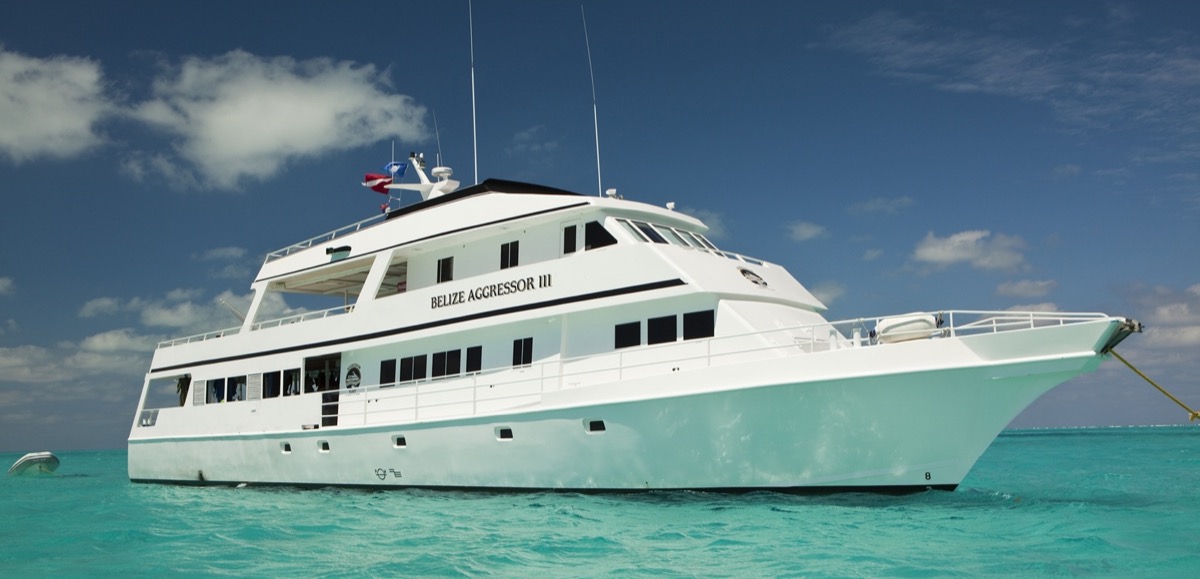 Foto de Belize Aggressor V