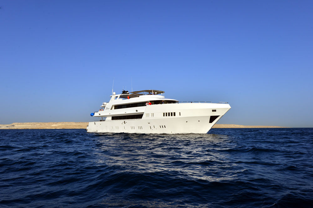 M/V Blue — blue-3.jpg