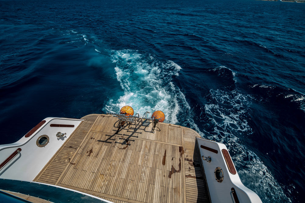 Golden Dolphin I — golden-dolphin-015.jpg