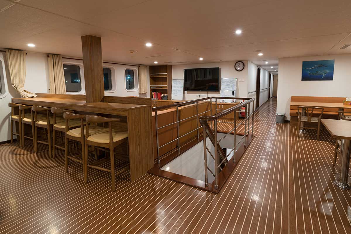 New White Manta — Saloon.jpg
