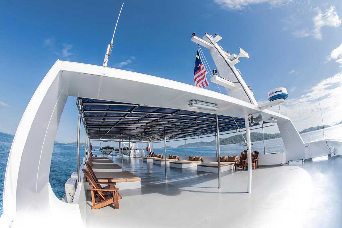 Foto de New White Manta