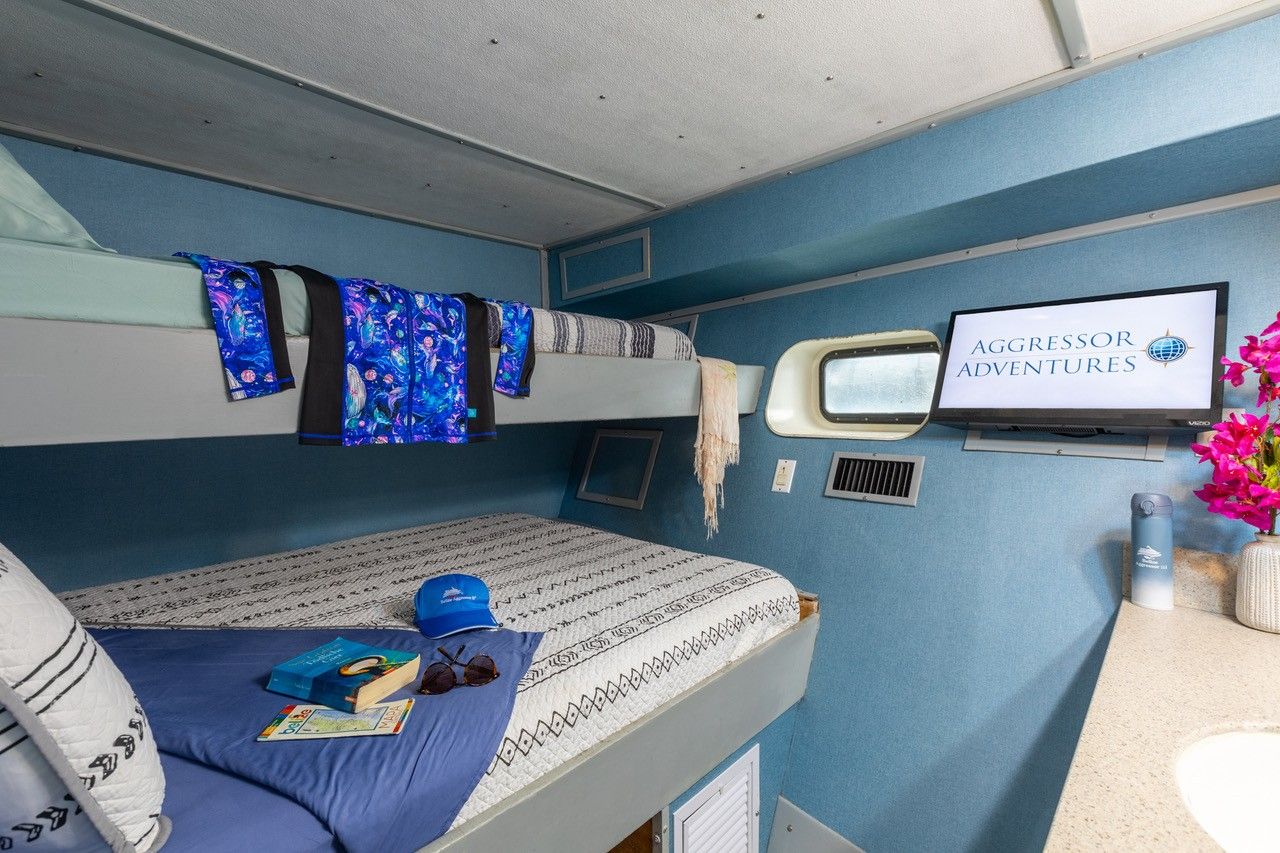 Belize Aggressor III — ba3-deluxe-room.jpg