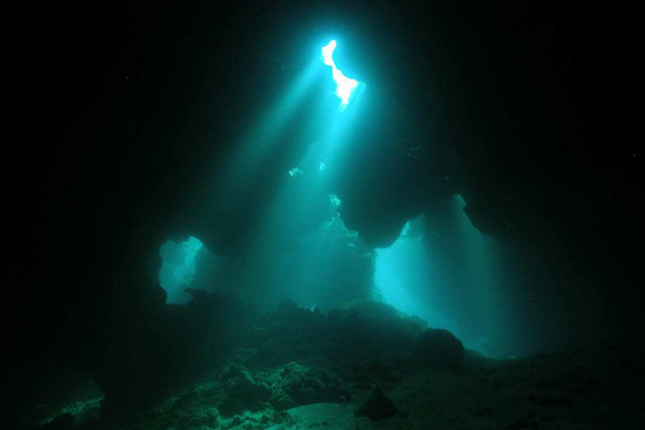 Roatan Aggressor — cave.jpg
