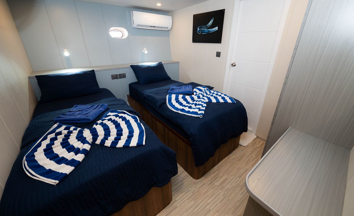 Emperor Voyager — Lower-Deck-Twin-1.jpg