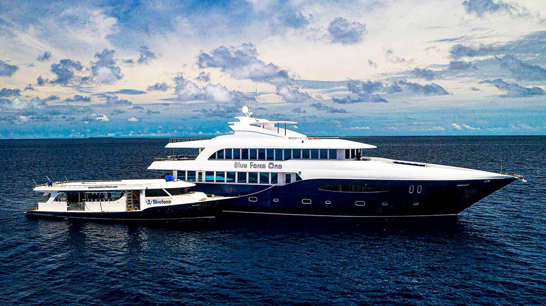 Foto de Maldives Blue Force One