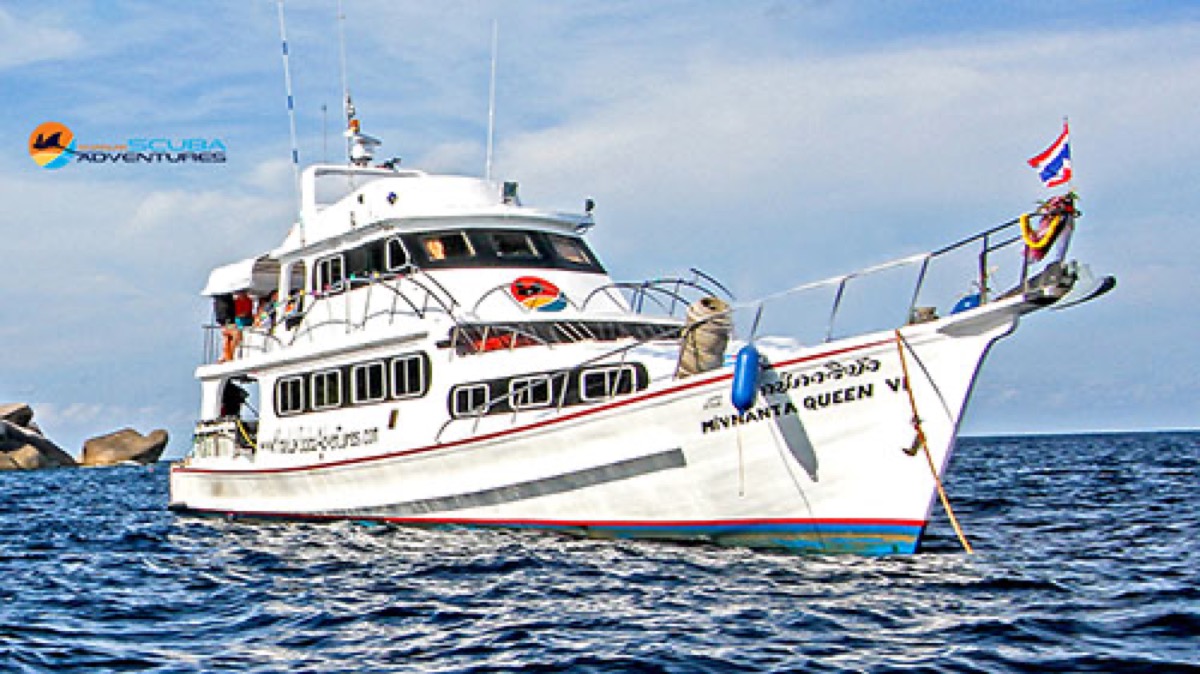 Manta Queen 1 — manta-queen-1-5.jpg