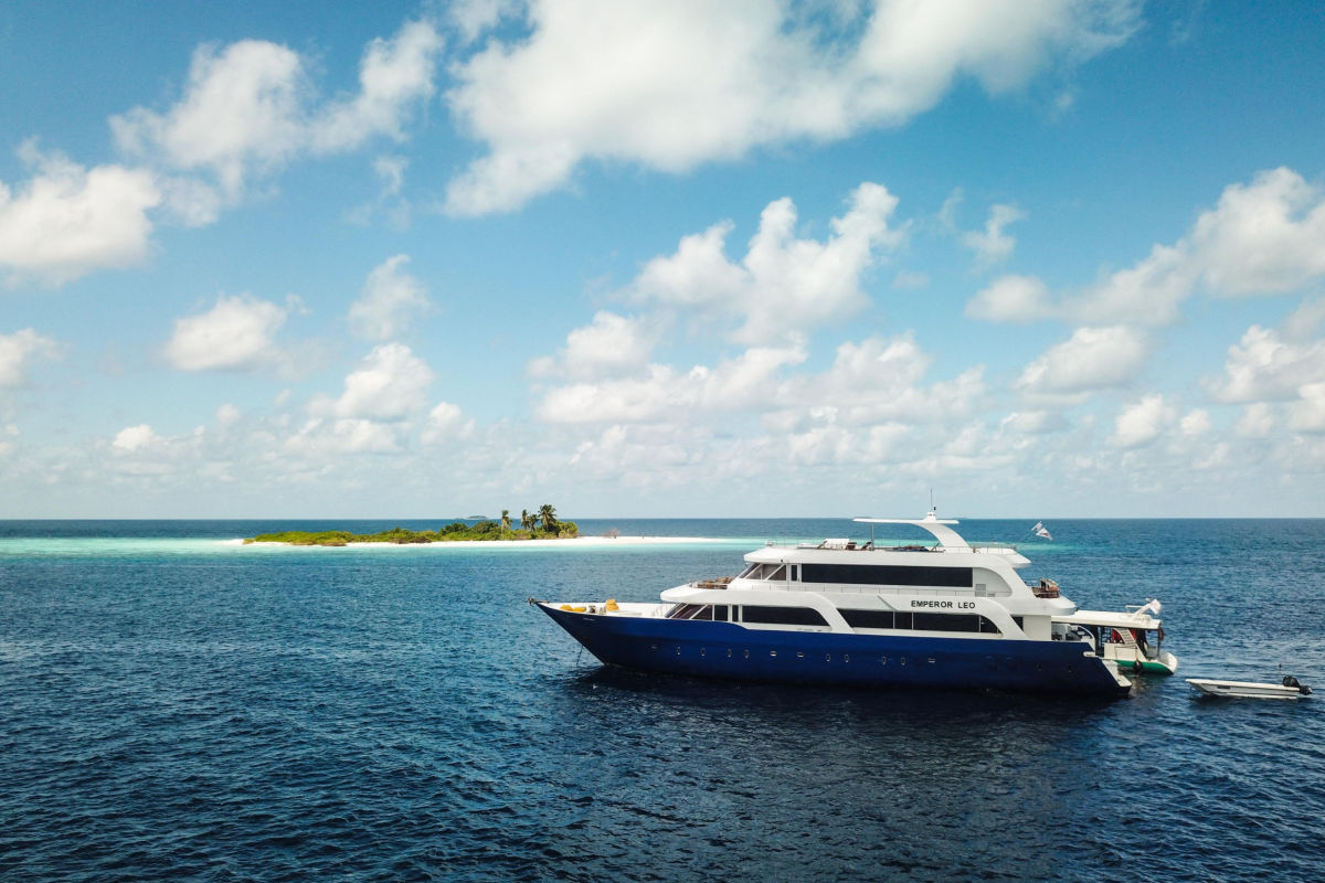 Emperor Leo — DJI_0022.jpg