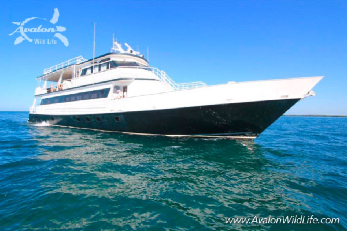 Foto de Jardines Avalon III