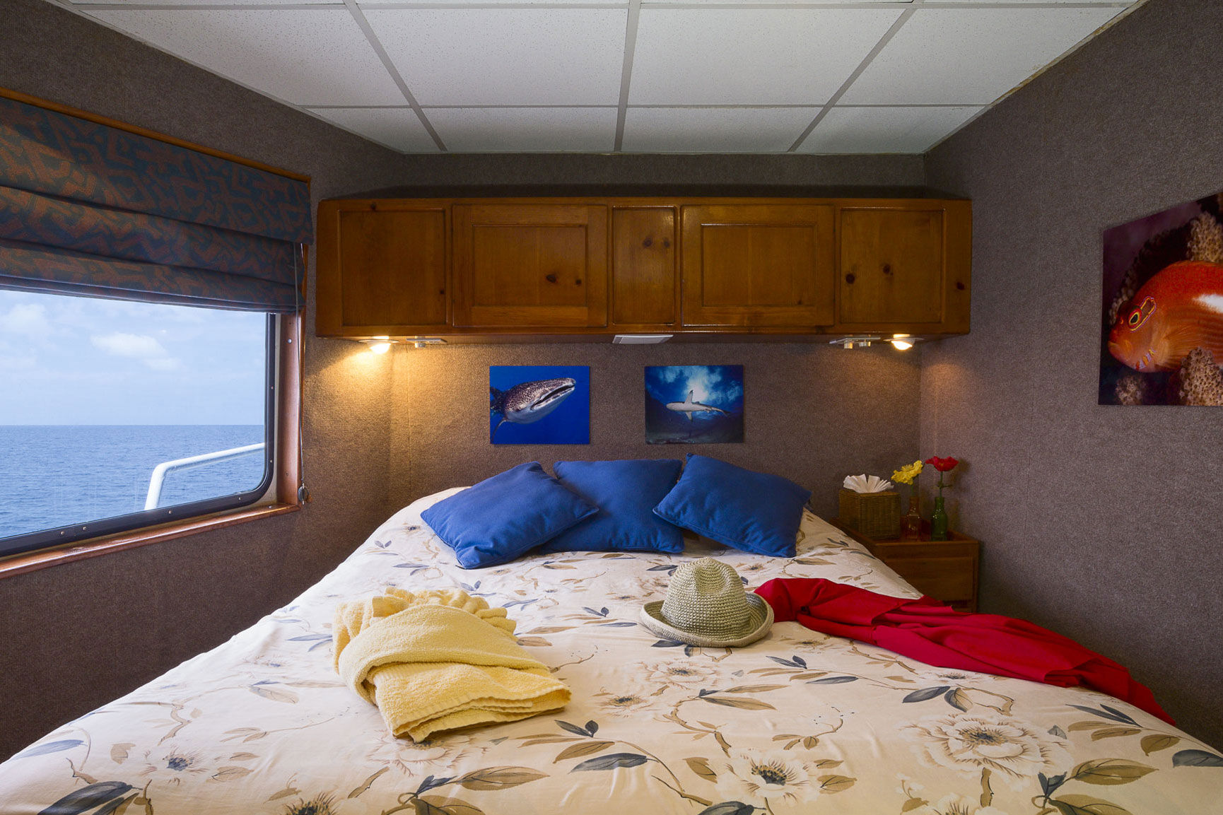 Belize Aggressor IV — masterstateroom3.jpg