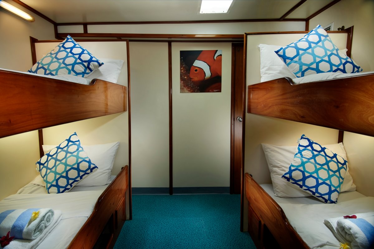 Pacific Master — pacific-master-cabin-7-aaron-wong-medium.jpg