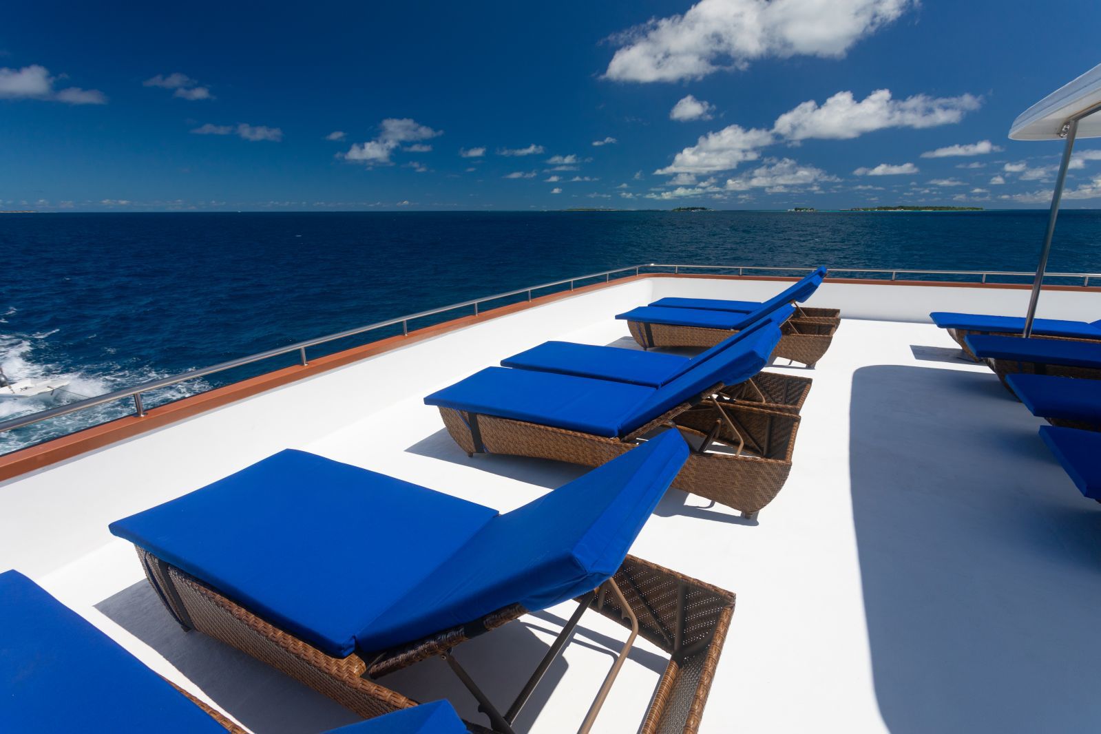 Carpe Vita — Sun_20Deck2_Carpe_20Vita_lg.jpg