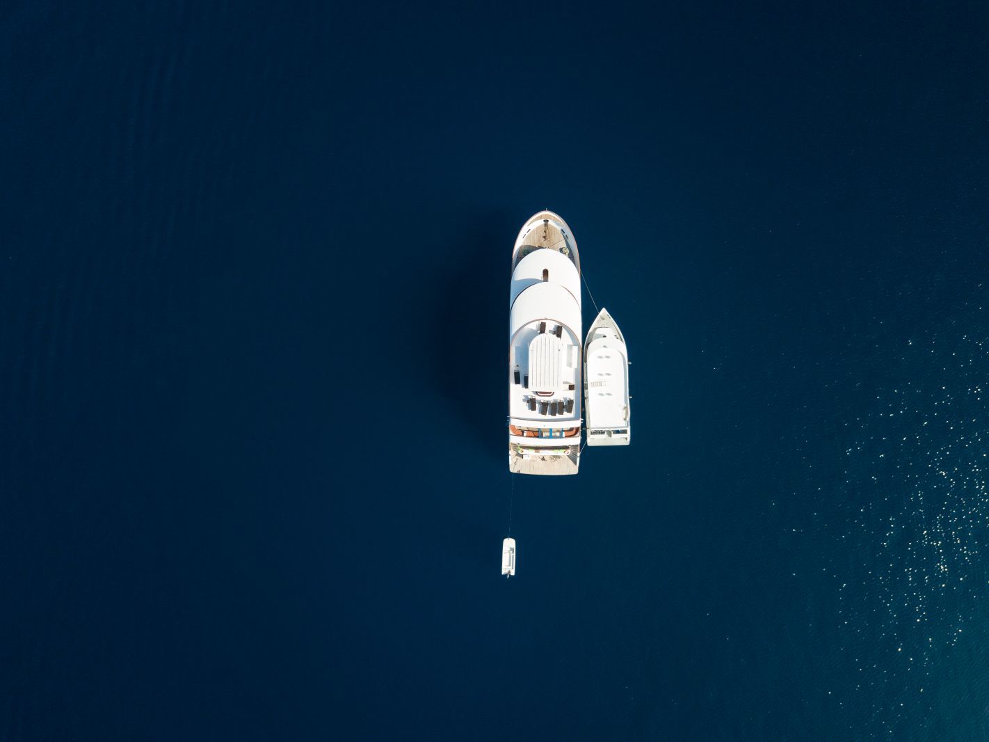 Carpe Vita — Carpe_20Vita_20Aerial_lg.jpg