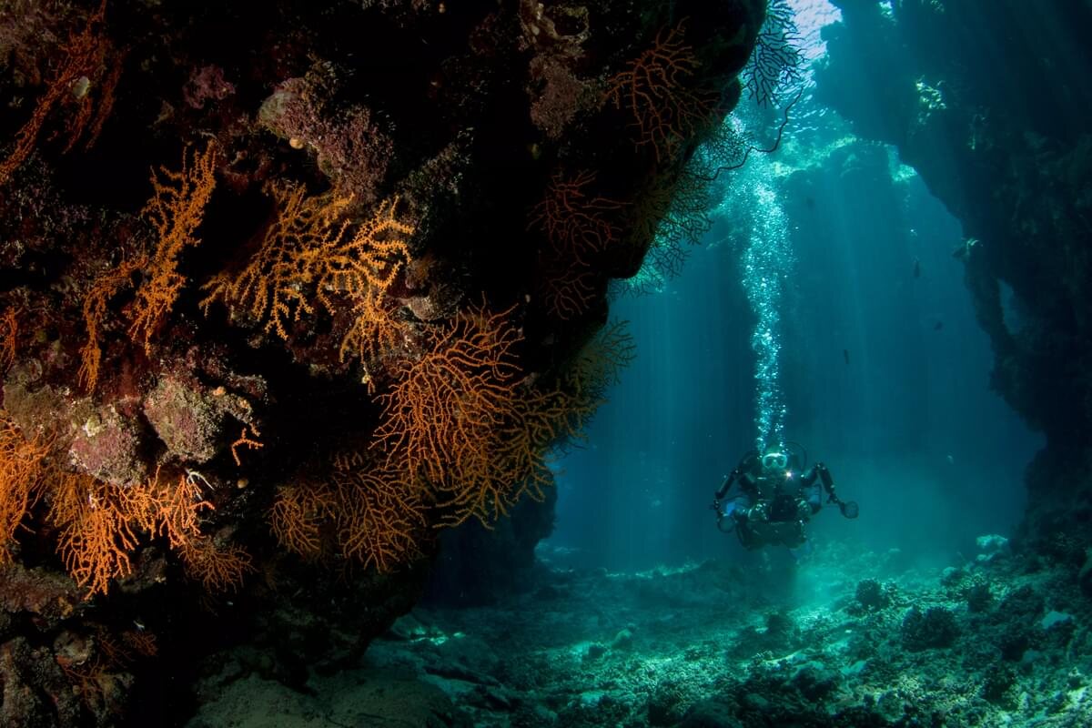Buceador en una caverna con gorgonias y rayos de luz