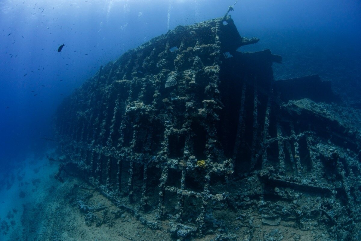 Estructura del pecio Carnatic en azul
