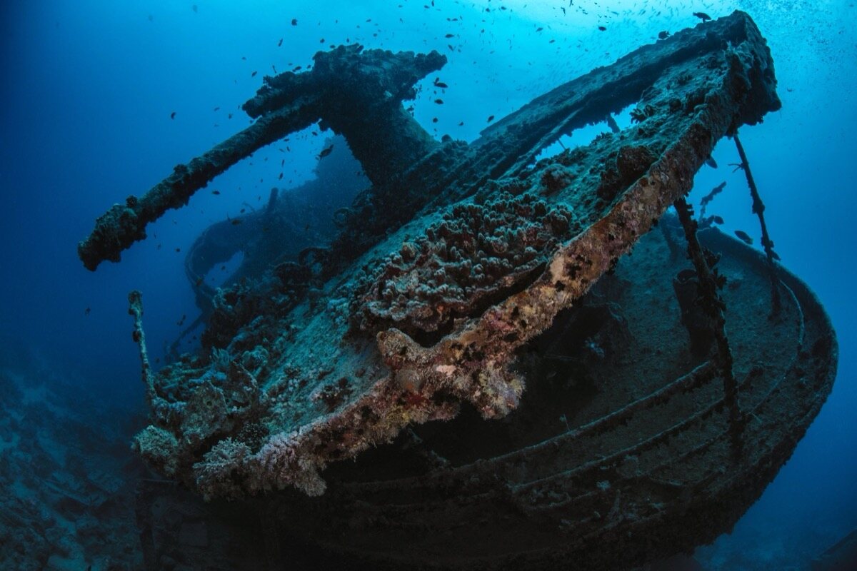 Cañón de popa del SS Thistlegorm con buceadores